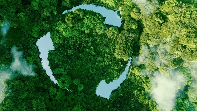 Forest whitepaper 640x360