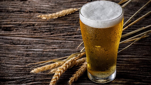 Glass of beer with barley on wooden able