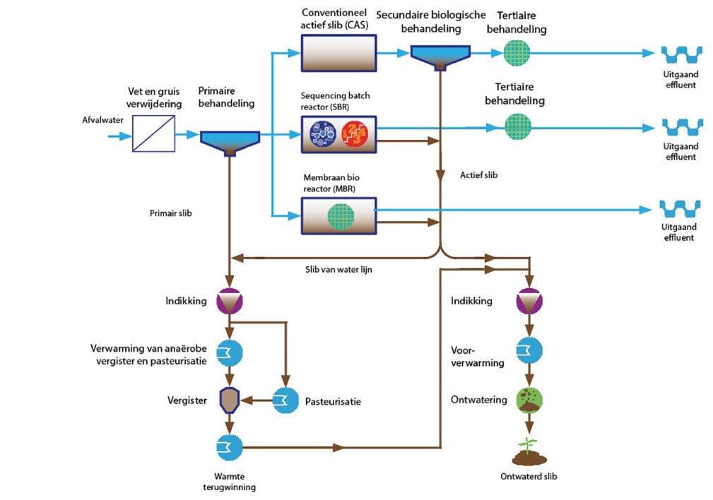 Processchema 2020websiteNLzonder titel20 C