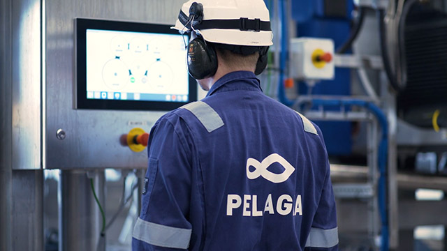 pelagia screenshot02 640x360