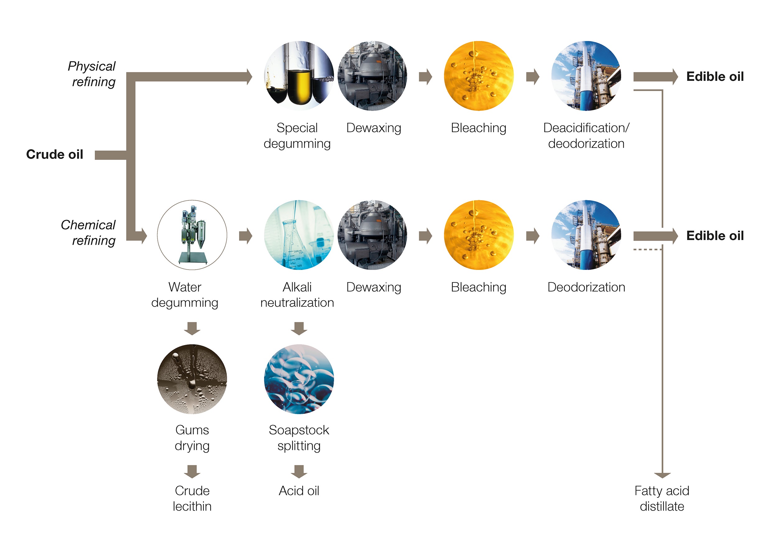 Edible oil process line portfolio.jpg