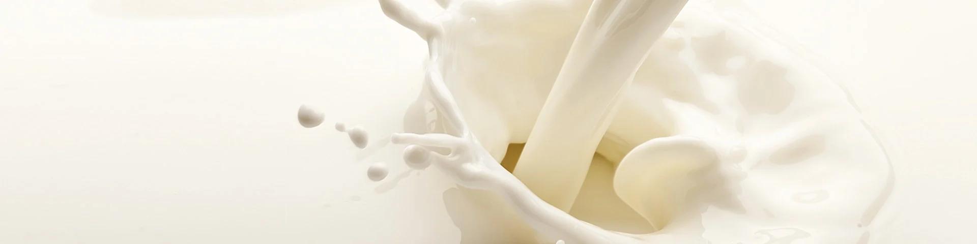 Audit d'équipements de production des produits laitiers petites laiteries