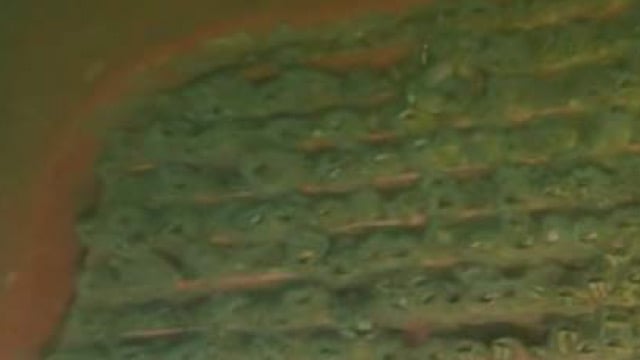 Sonihull-Unprotected-sea-chest-grating.jpg
